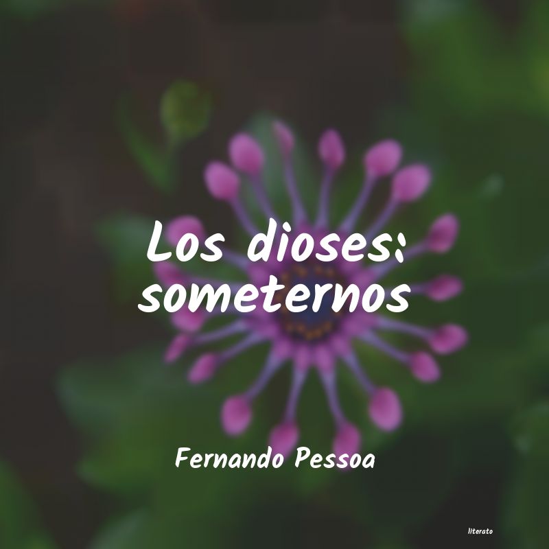 Frases de Fernando Pessoa