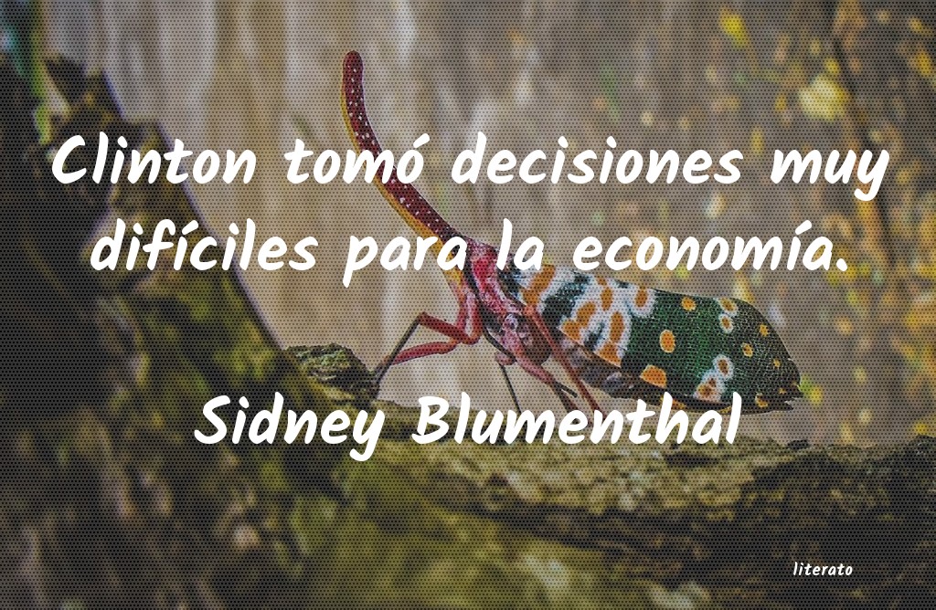 frases de Sidney Blumenthal