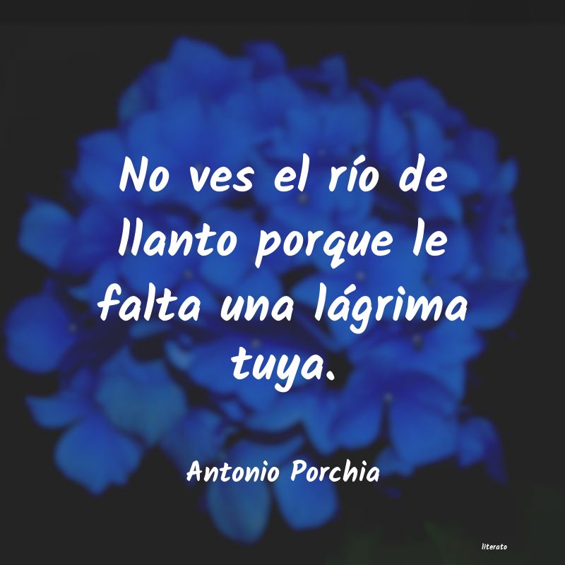 frases de Antonio Porchia