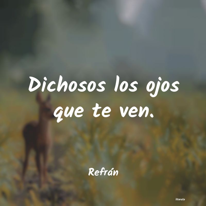 frases de Refrán