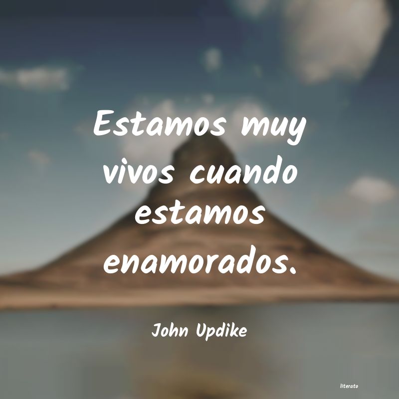 Frases de John Updike