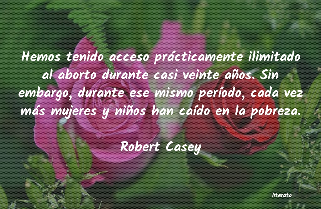 Frases de Robert Casey
