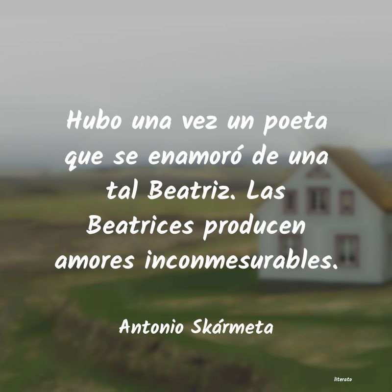 Frases de Antonio Skármeta