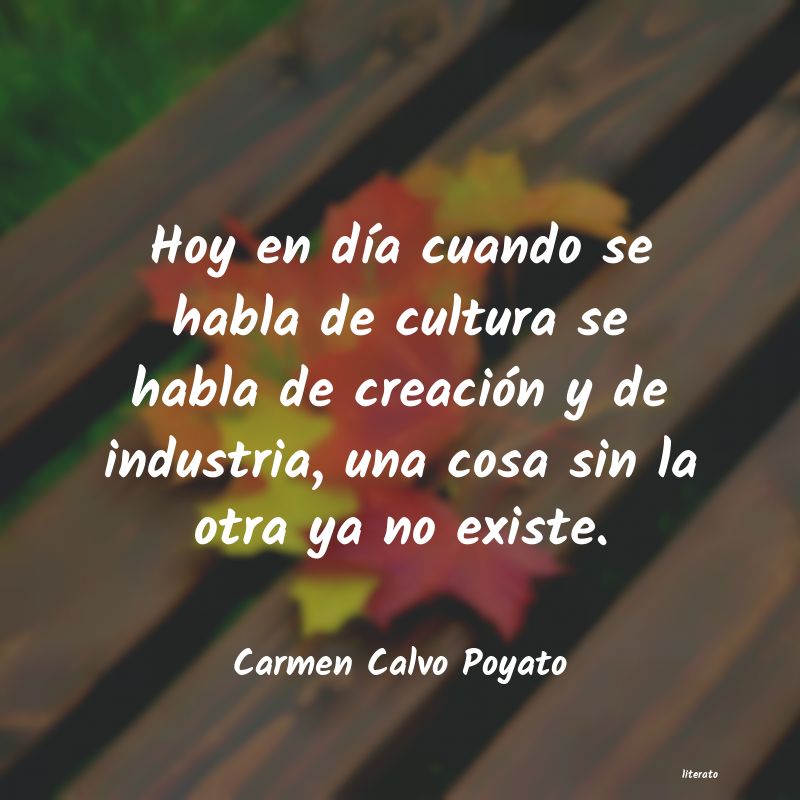 Frases de Carmen Calvo Poyato