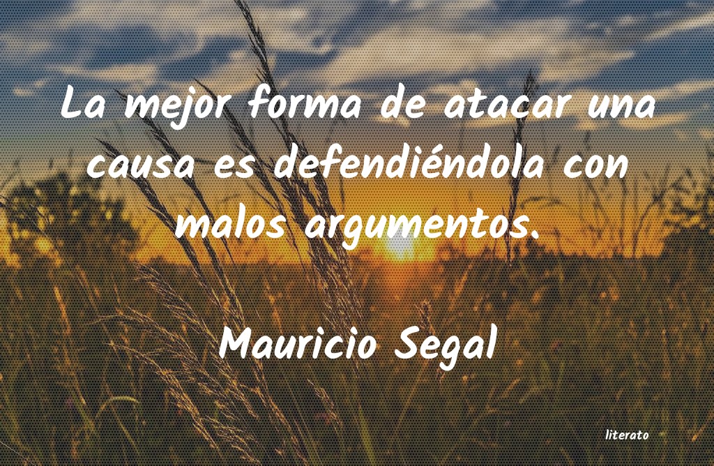 Frases de Mauricio Segal