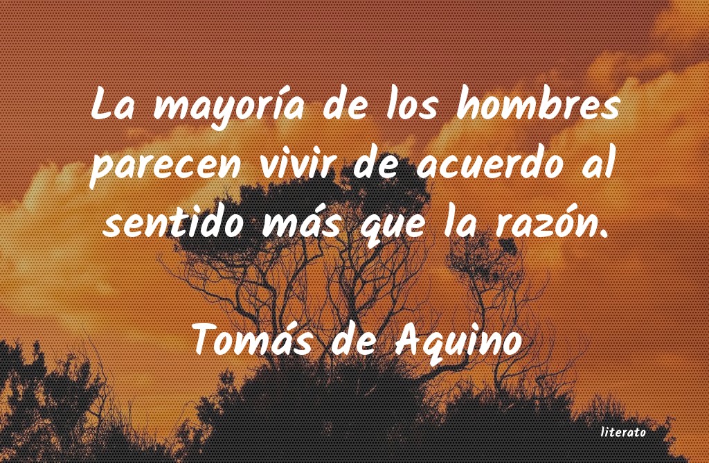 Frases de Tomás de Aquino