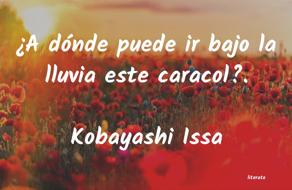 frases de Kobayashi Issa