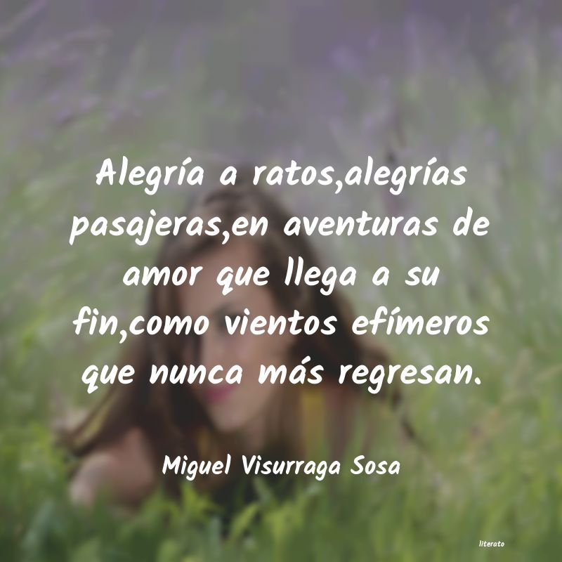frases de Miguel Visurraga Sosa