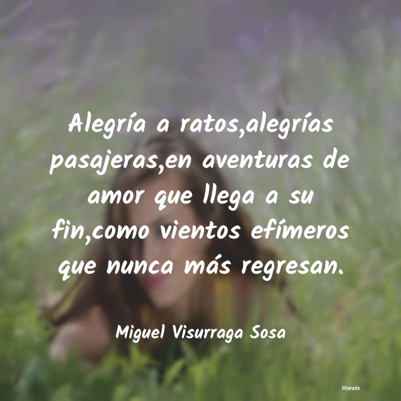 Frases de Miguel Visurraga Sosa