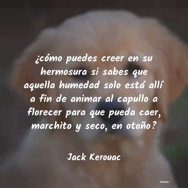 Frases de Jack Kerouac