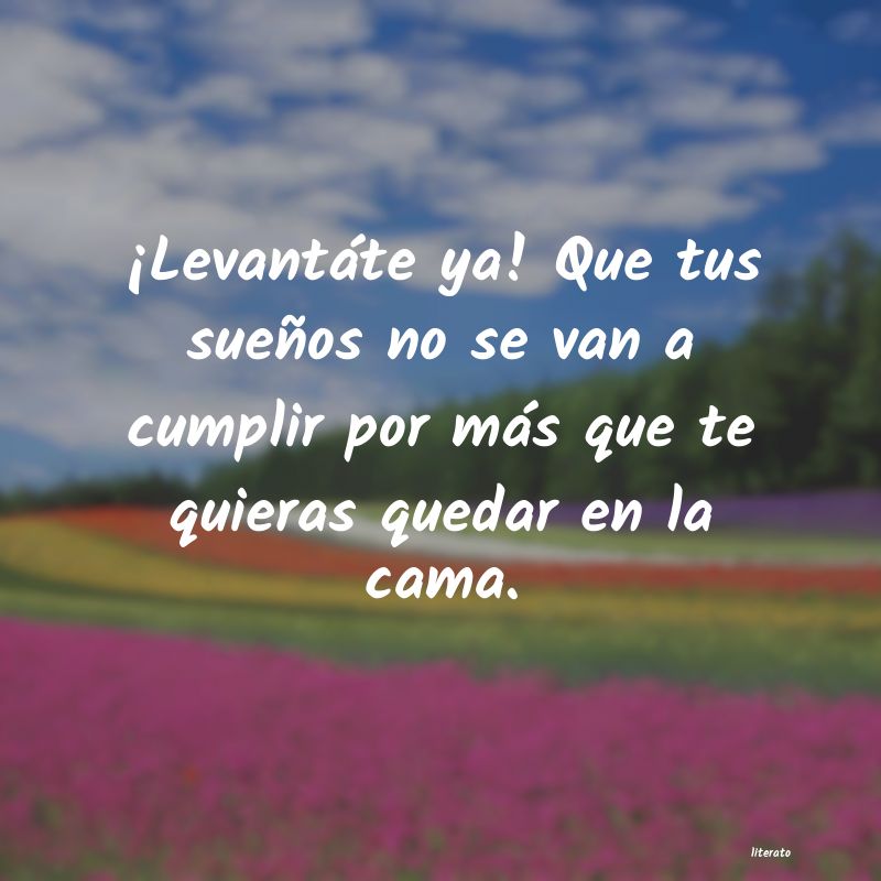 frases