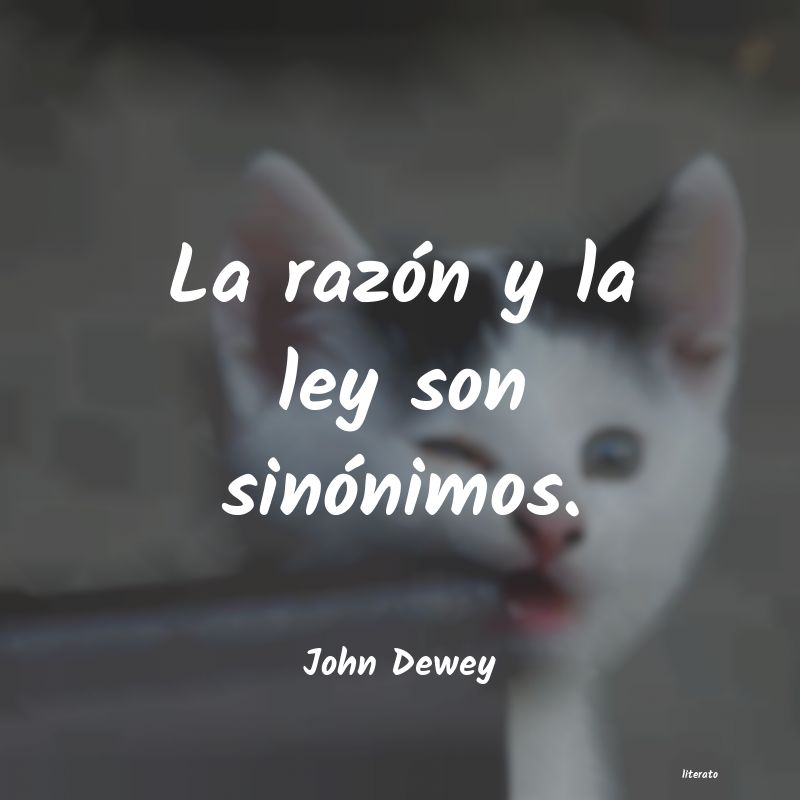 Frases de John Dewey