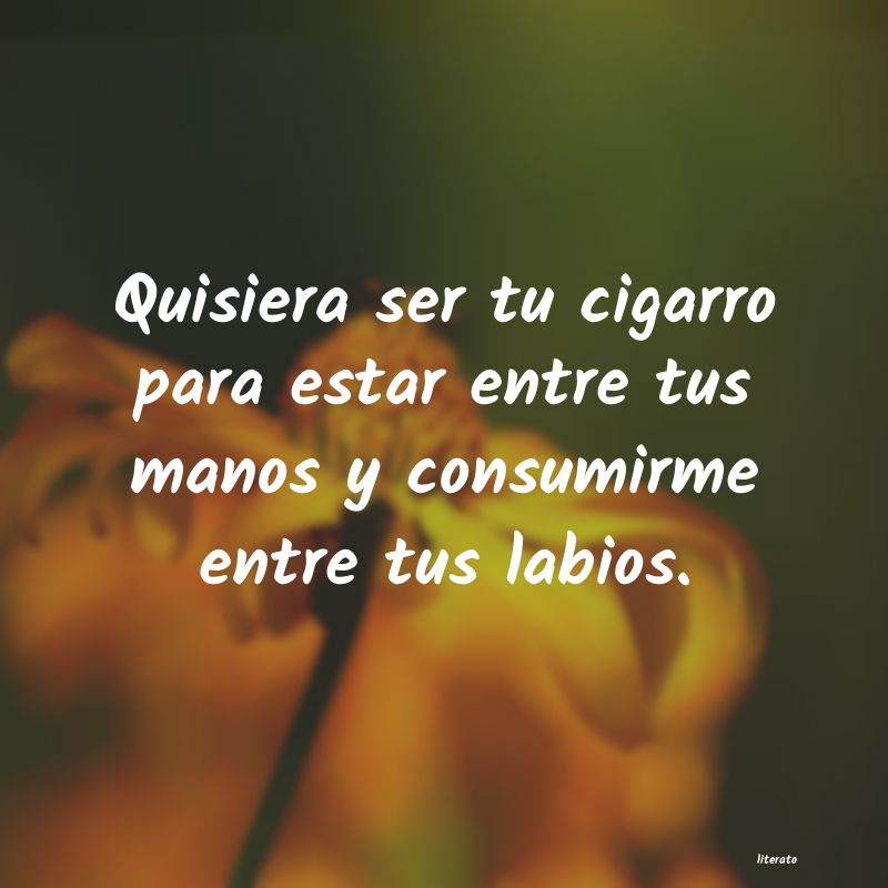 frases