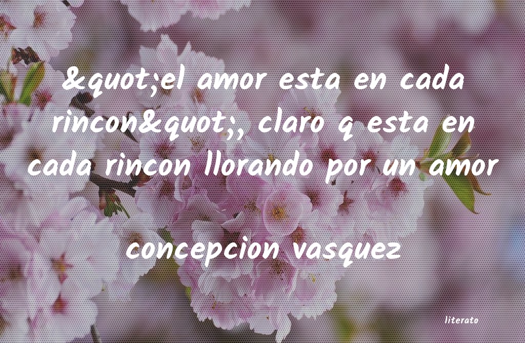 frases de concepcion vasquez