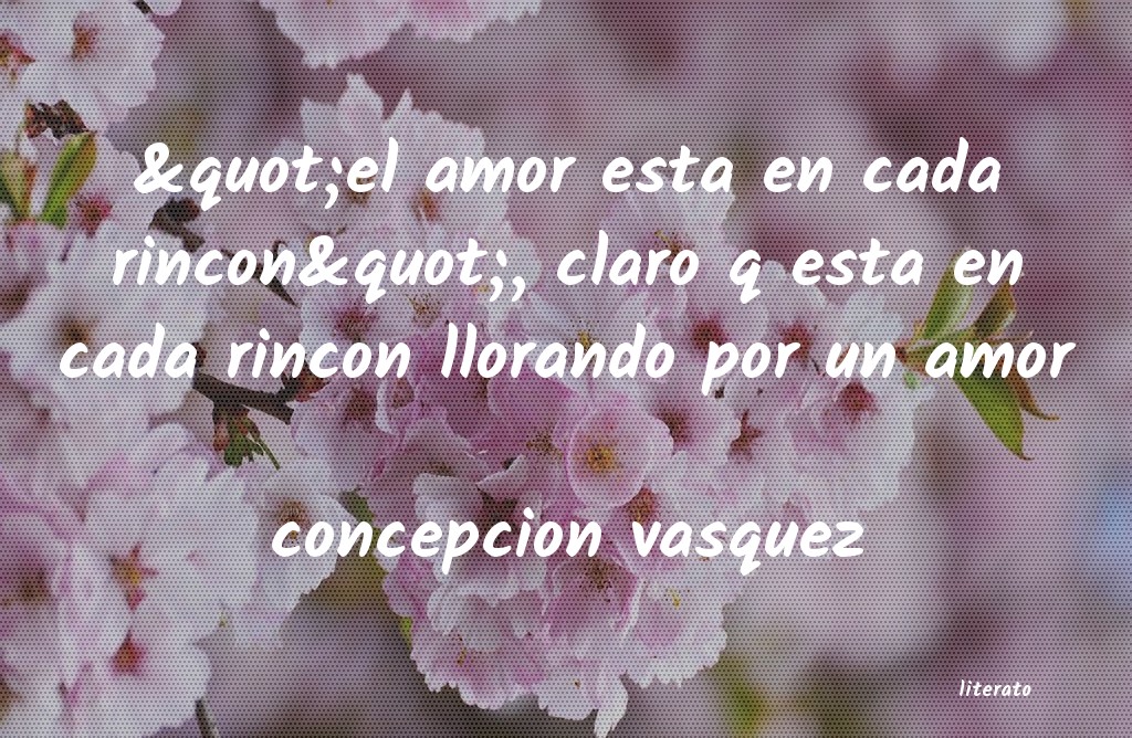 Frases de concepcion vasquez