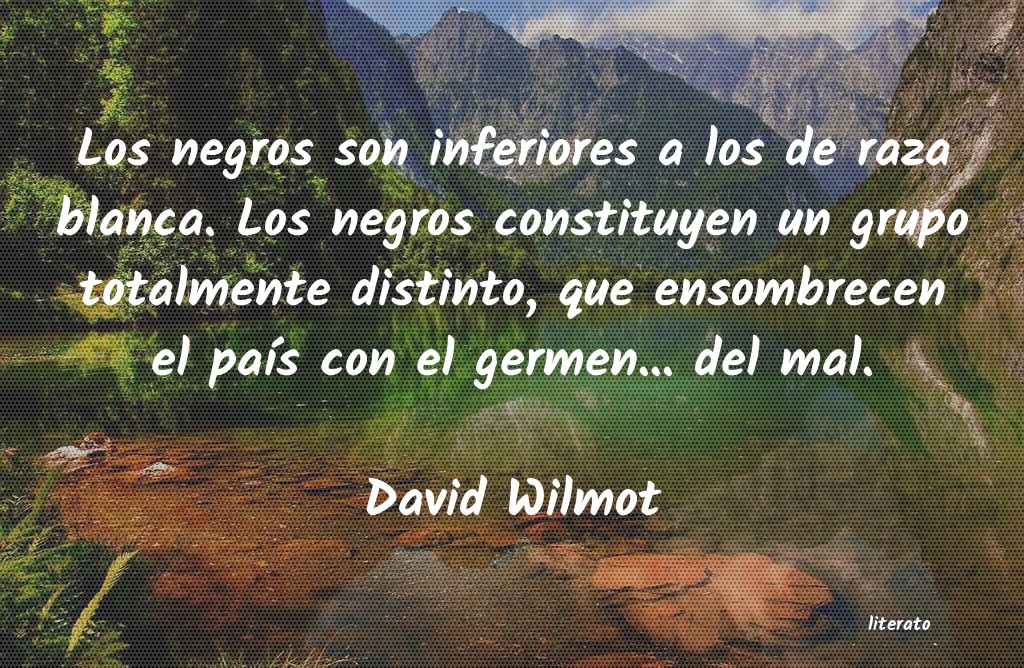 Frases de David Wilmot