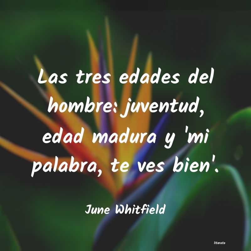 frases de June Whitfield