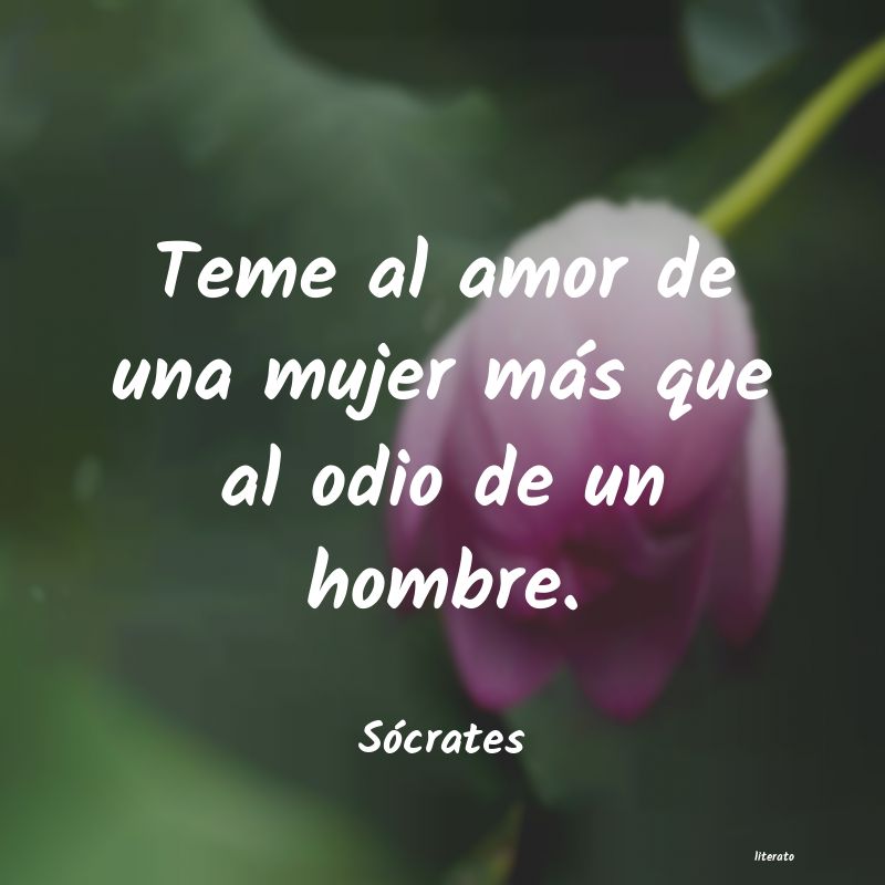 Frases de Sócrates