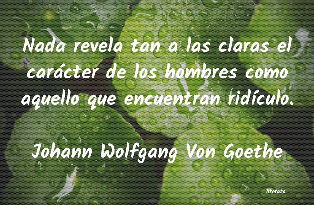 Frases de Johann Wolfgang Von Goethe