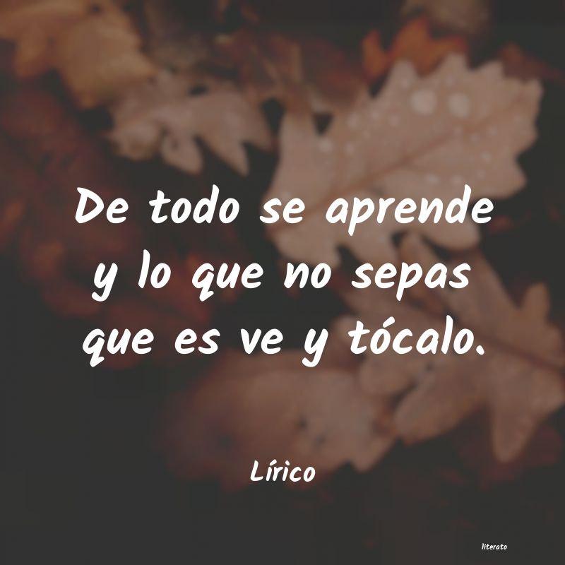 Frases de Lírico