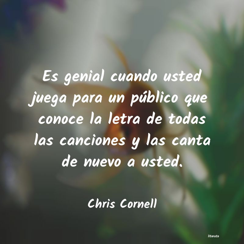 Frases de Chris Cornell