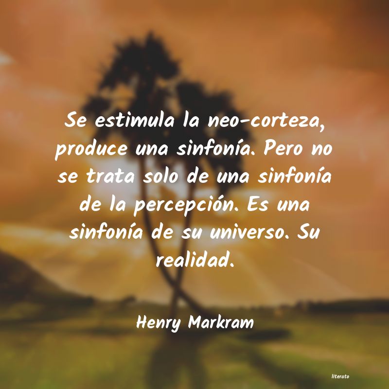 frases de Henry Markram