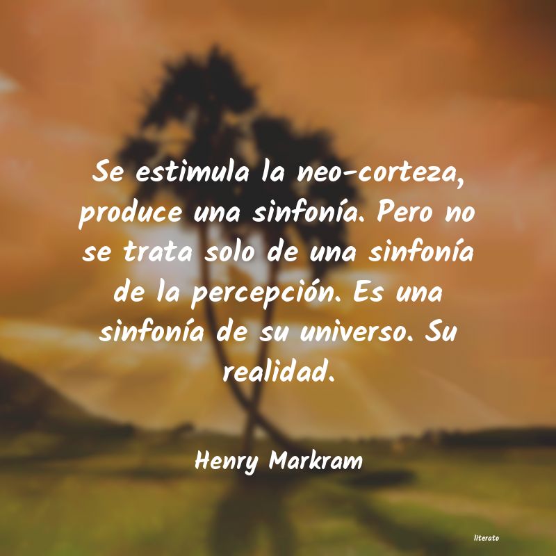 Frases de Henry Markram