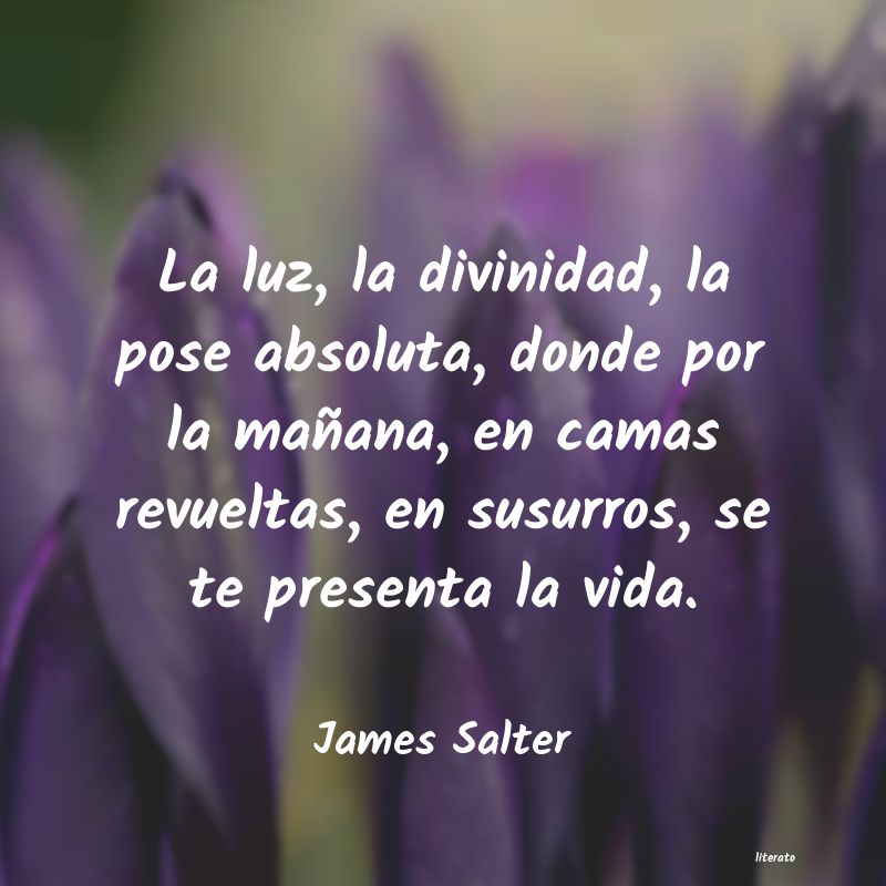 Frases de James Salter