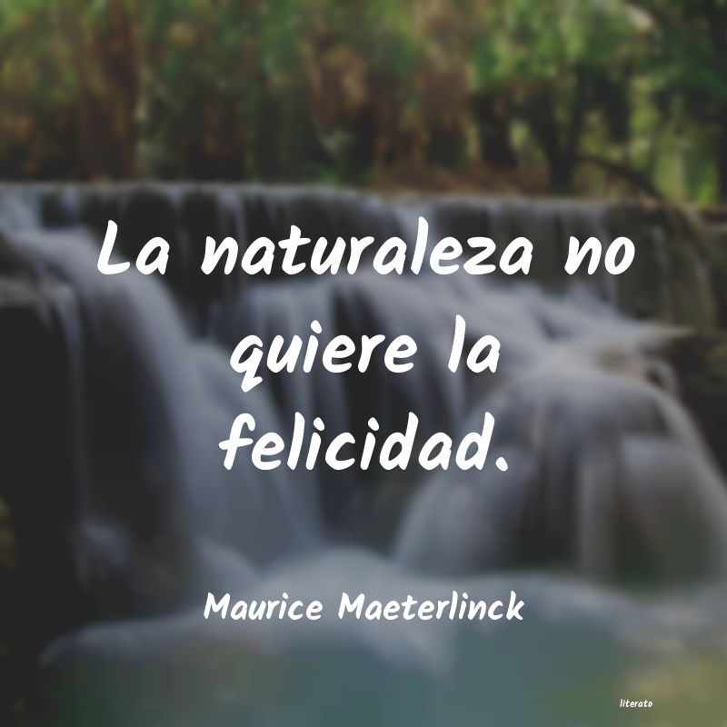 Frases de Maurice Maeterlinck