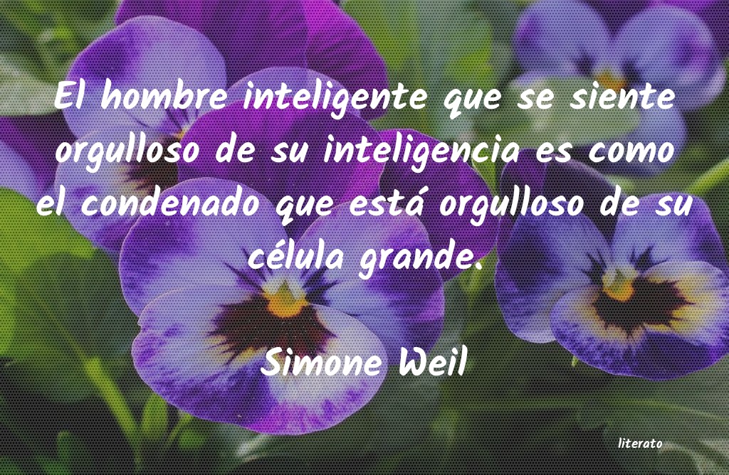 Frases de Simone Weil