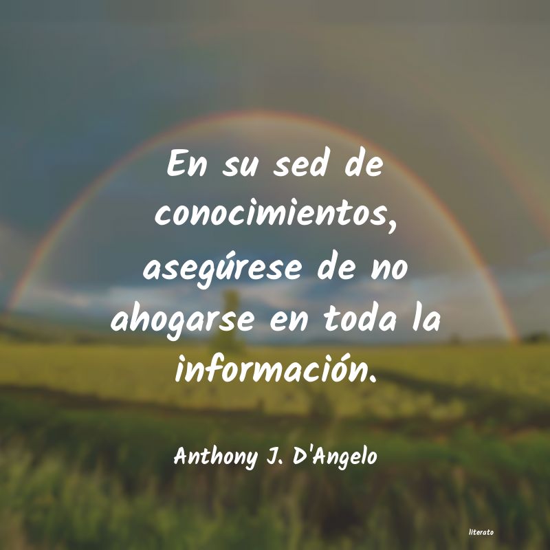 frases de Anthony J. D'Angelo