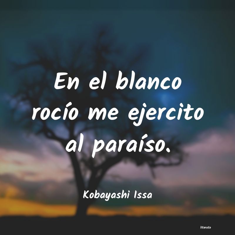 frases de Kobayashi Issa