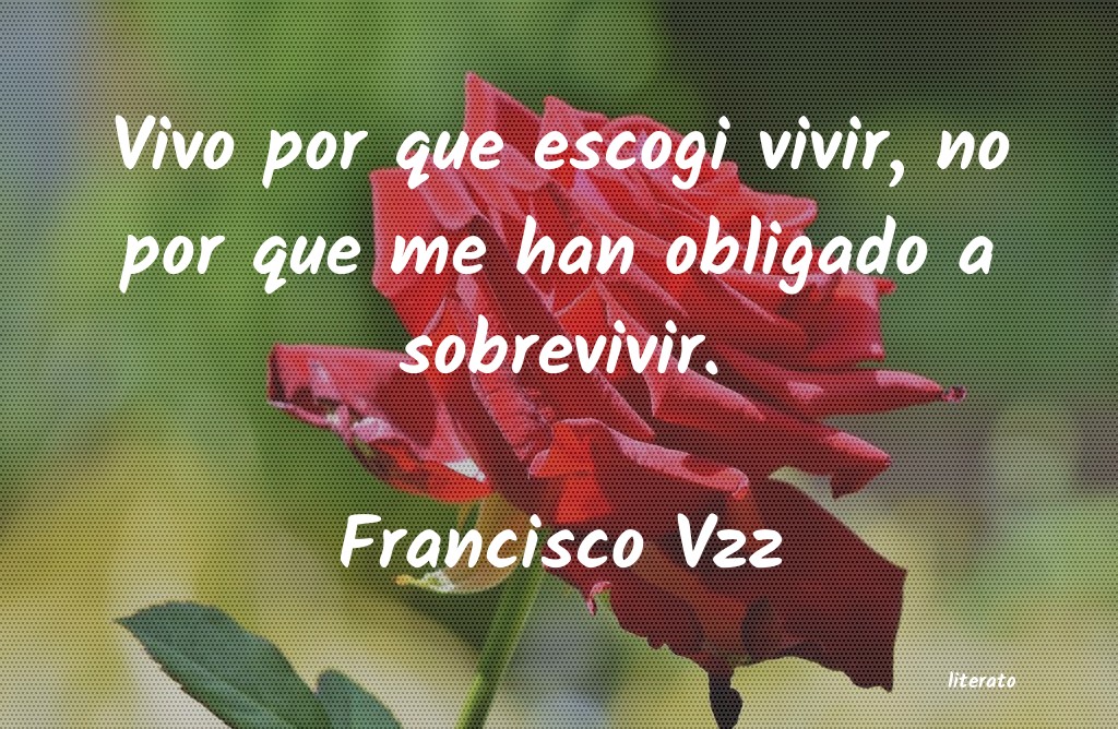 Frases de Francisco Vzz