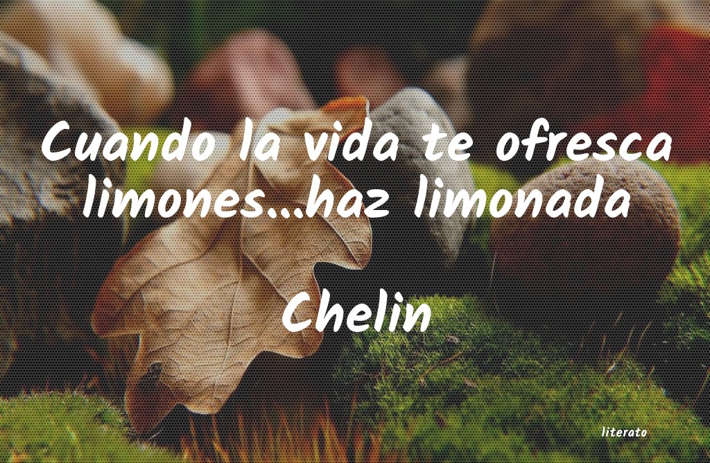 Frases de Chelin