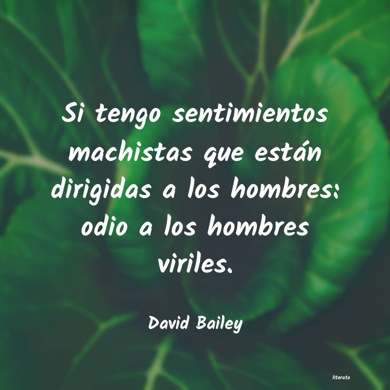 Frases de David Bailey