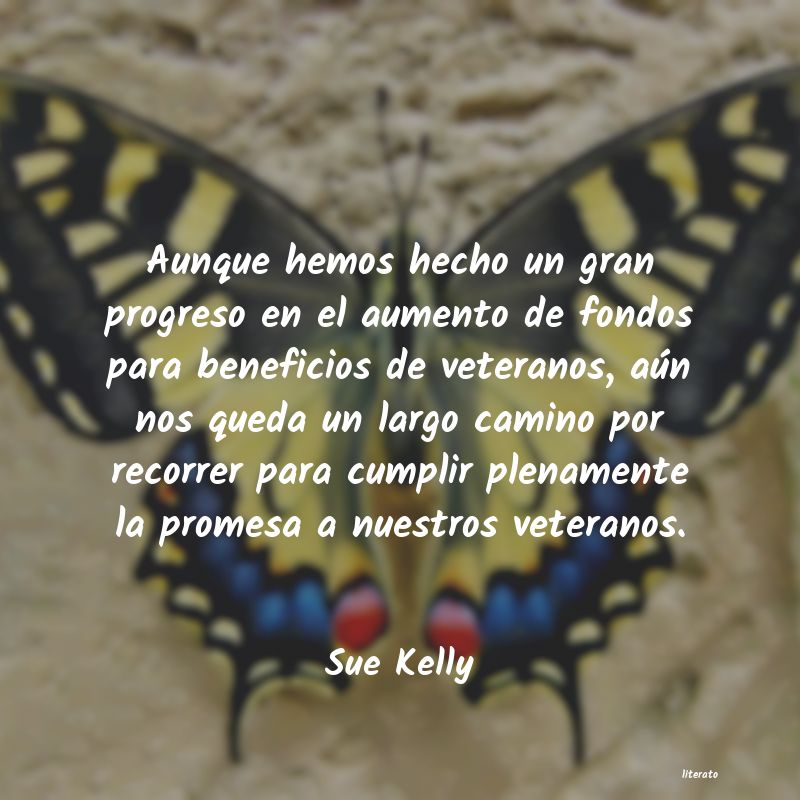 Frases de Sue Kelly