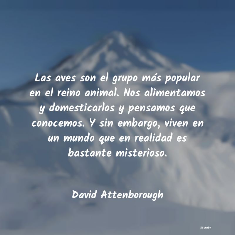 Frases de David Attenborough