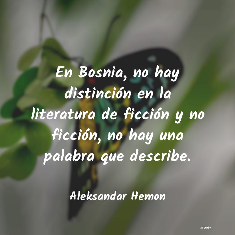 Frases de Aleksandar Hemon