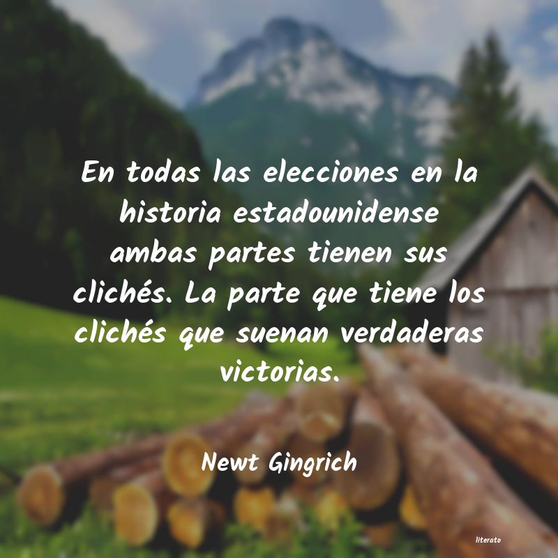 frases de Newt Gingrich