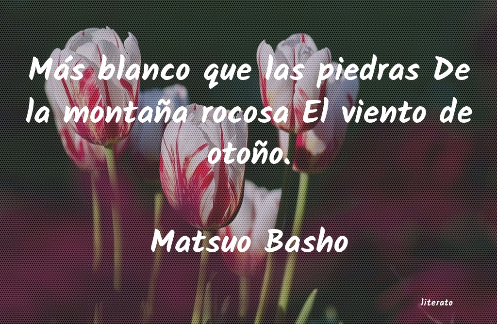 frases de basho