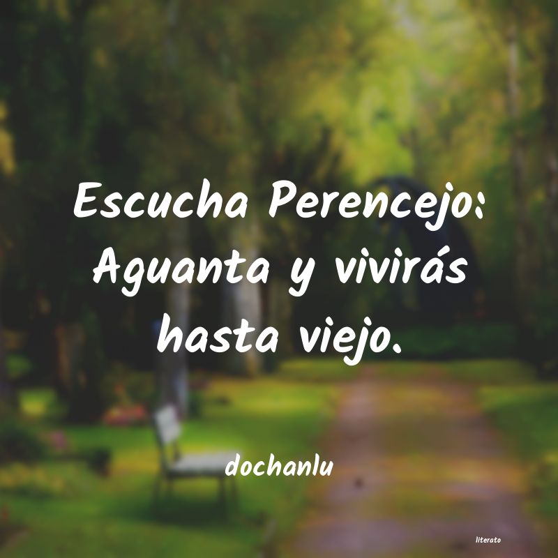 frases de dochanlu