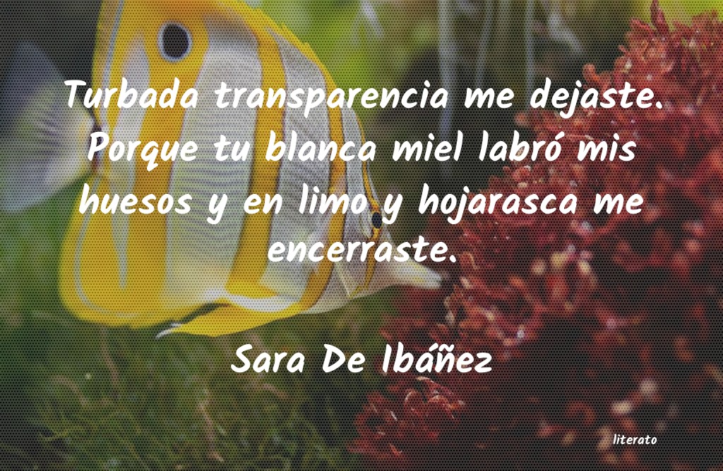 frases de Sara De Ibáñez