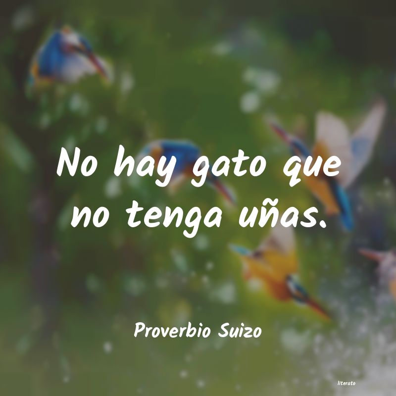 Frases de Proverbio Suizo