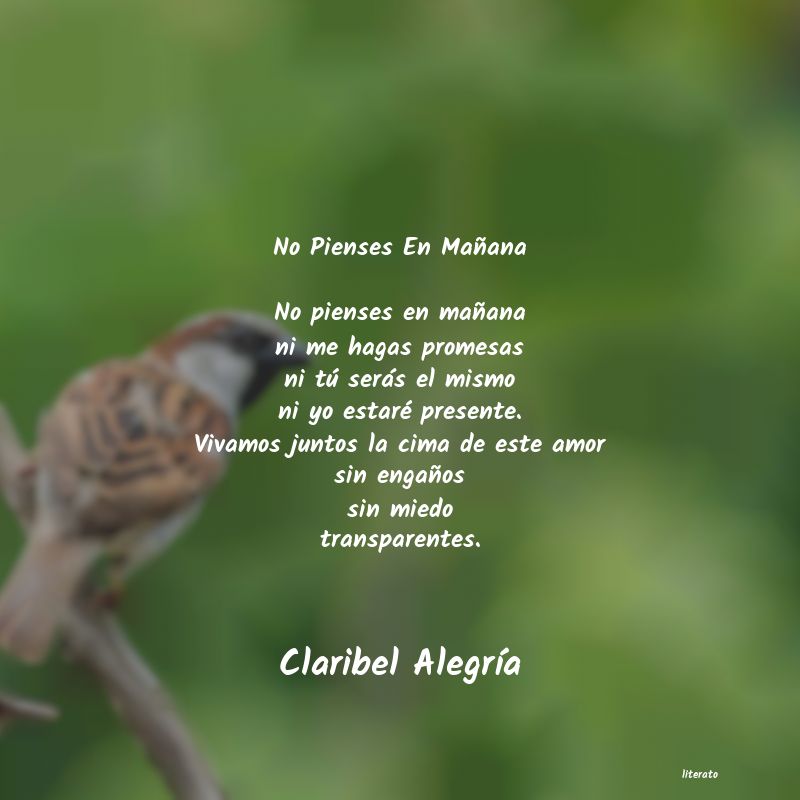 Frases de Claribel Alegría