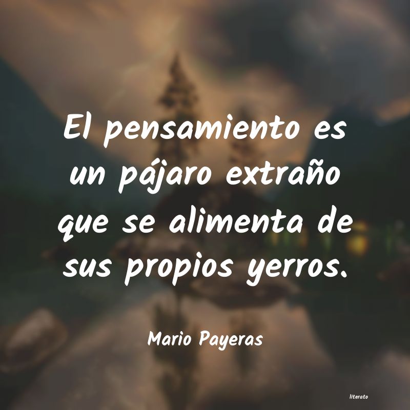 frases de Mario Payeras