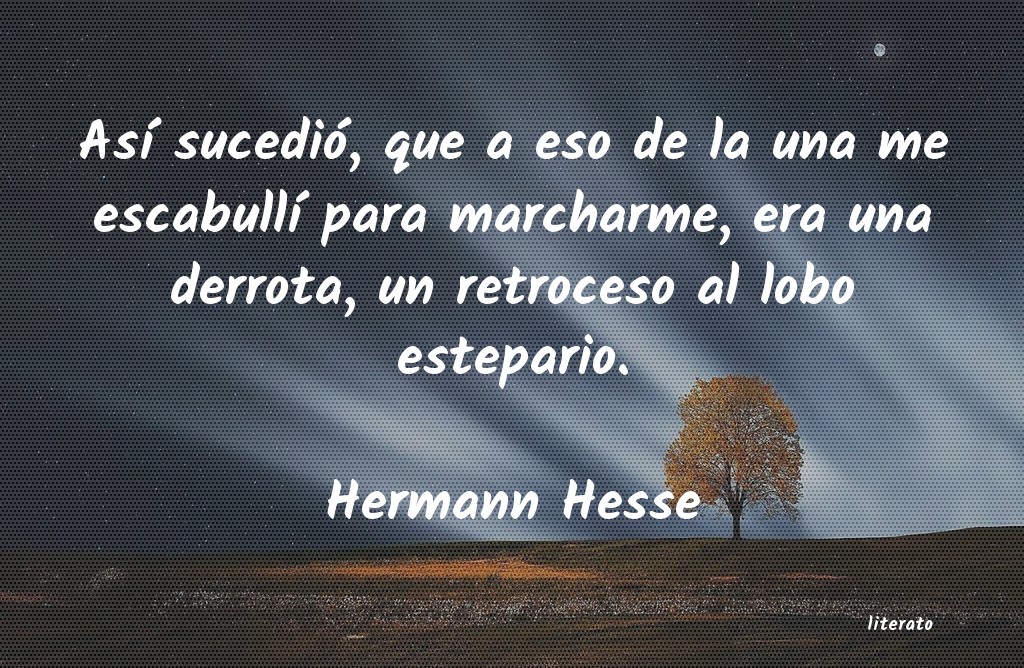 frases de Hermann Hesse