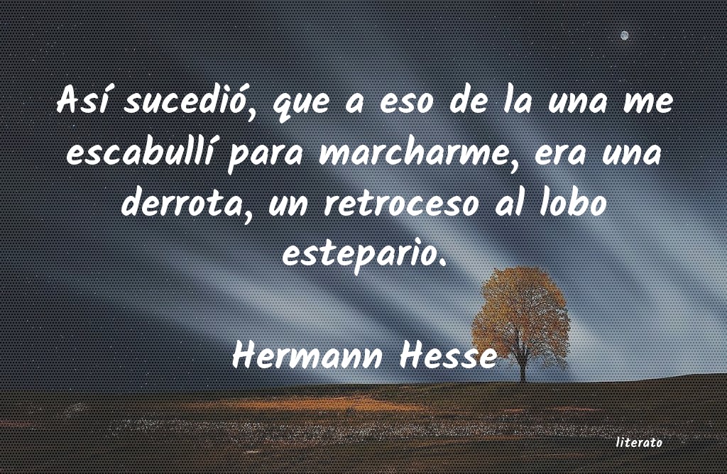 Frases de Hermann Hesse