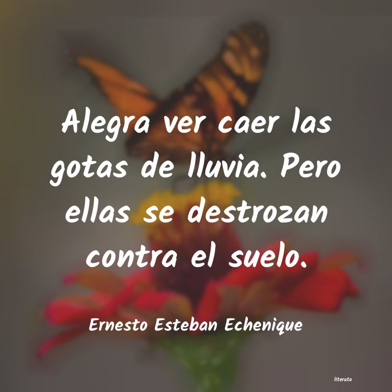 Frases de Ernesto Esteban Echenique