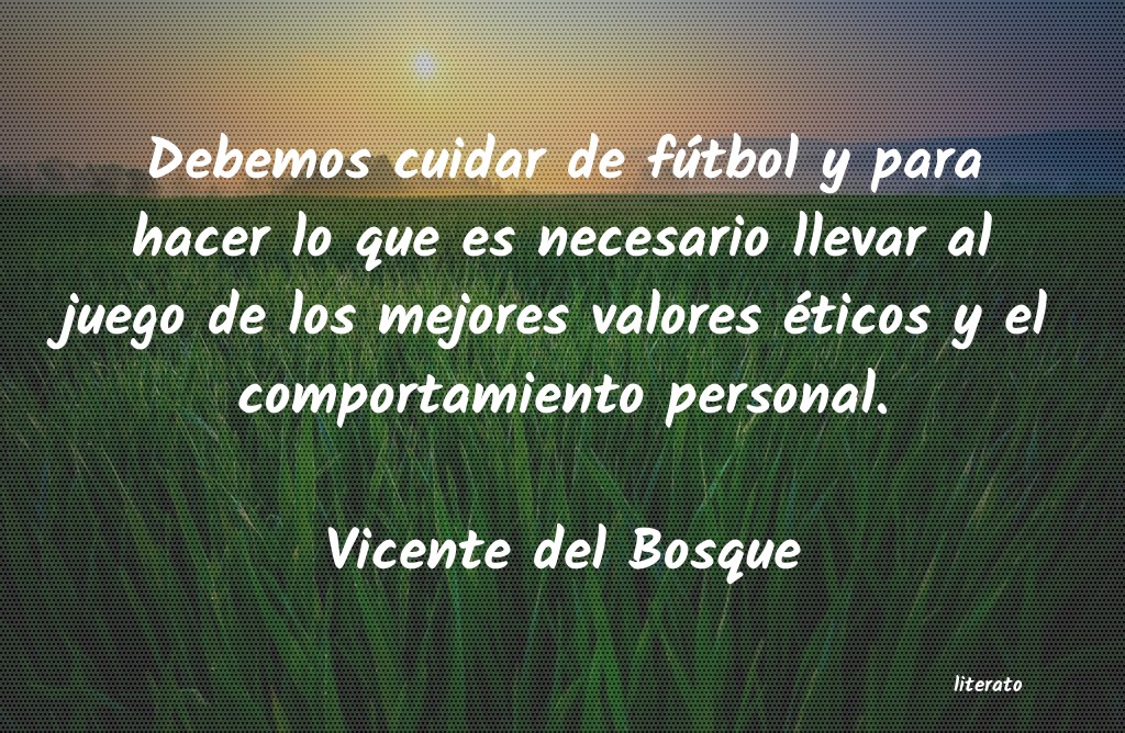 Frases de Vicente del Bosque