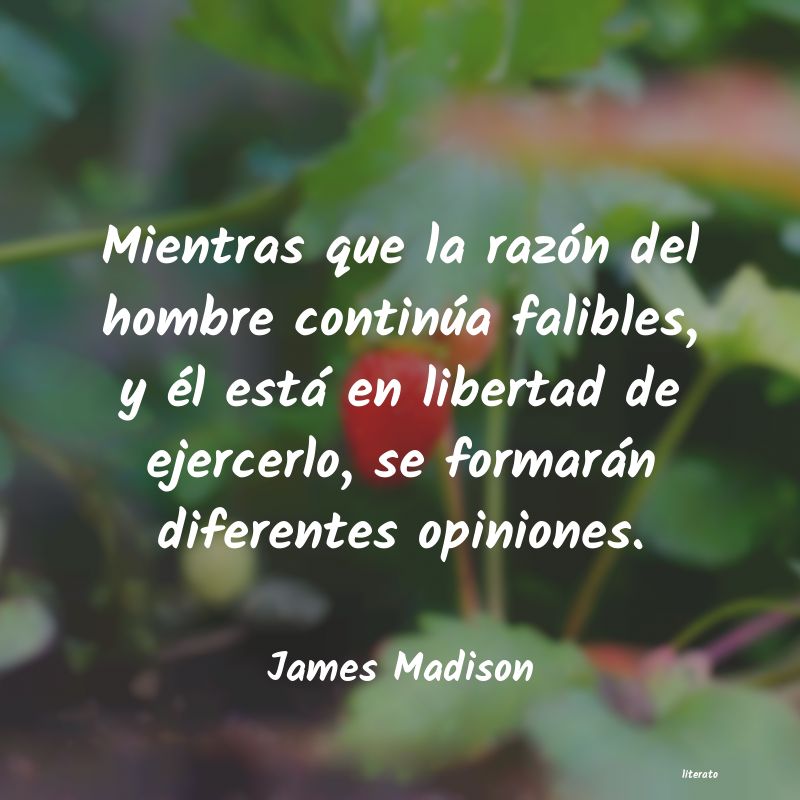 Frases de James Madison